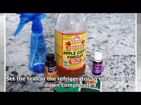 diy-anti-itch-spray-for-dogs