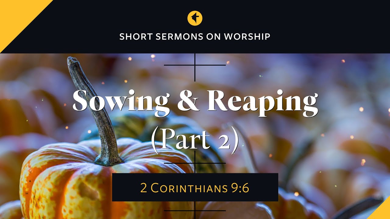The Principle of Sowing and Reaping (Part 2)