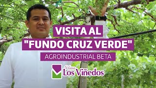 Visitando Fundo Cruz Verde de Agroindustrial BETA