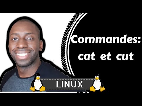 Linux - Commandes 'cat' et 'cut'