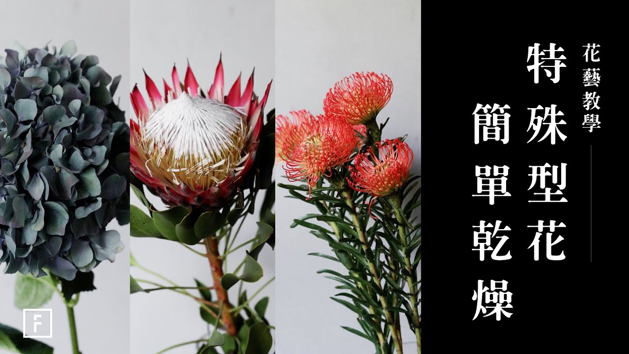 帝王花 古典繡球 乾燥方法告訴你 宅家輕鬆製作乾燥花 花藝教學 花裡fori Flower Youtube