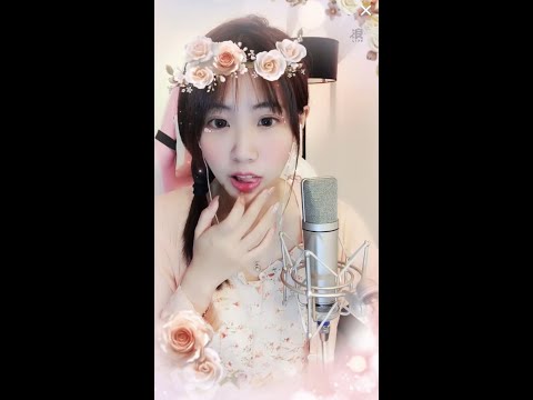 處處吻 - 淘淘