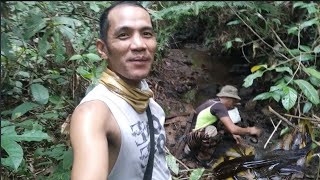 how to catch river fish using poisonous vine/tubli/TRADITIONAL | LEYTE MISSION TV