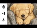 쉬어요 (재업. Original sound)