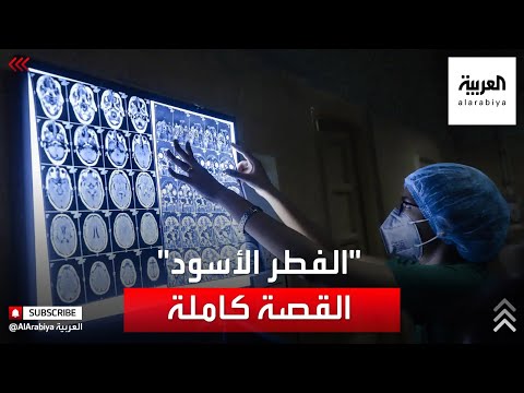 فيديو: ما هو الفطري؟