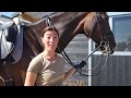 The TRT method Series Episode #10 - The dressage horse that's afraid of strange surfaces