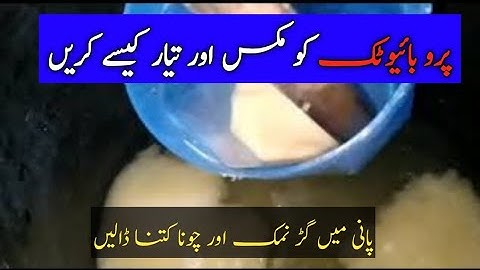 Mixing Probiotic and Water Preparation | Biofloc Fish Farming | #Biofloc #Probiotic #Fish Farming