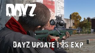 Everything New In DayZ Update 1.25 (Experimental) Profile