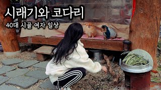 40대 시골 여자ㅣ장작불에 시래기 삶고 시래기 코다리찜에 원두막 혼술ㅣ눈 오는 오후네 풍경~