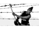 The Casualties - 