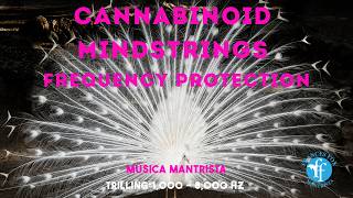 Cannabinoid Mindstrings FrequencyProtection... 10Hours