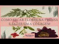 Flores Prensadas: Como secar flores na prensa e fazer uma colagem