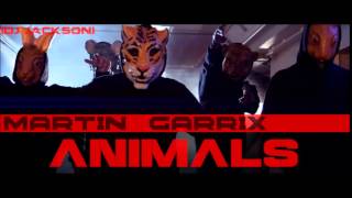 Martin Garrix - Animals (Music)