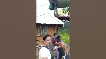 kebun teh si katok sigedang kejajar wonosobo #coverlagu #wisata  #wonosoboexplore