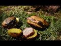 Вылазка в лес. Картошка запеченная в фольге с мясом .Беларусь