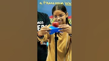 Polarization of Light |#trending #education #apple #experiment #entertainment #comedy@MR.AGALONE