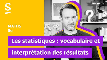 Les statistiques : vocabulaire et interprétation des résultats - Maths - 5e