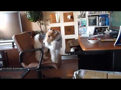 Agua de Beber おいしい水