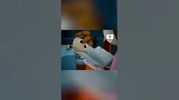 قناة كرزة نامت الشمس 