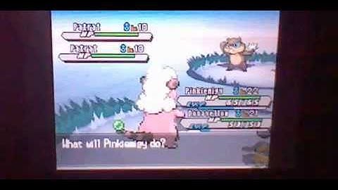 Pokemon White 2- LIVE Shiny Patrats after 17,149 encounters [Fail]