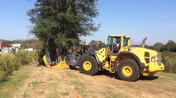"Great" 106 Inch Loader-mounted Curved Tree Spade