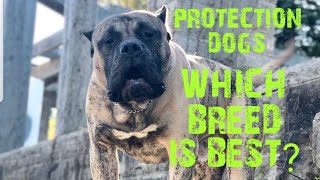 Best Breed & Of Dog For Protection