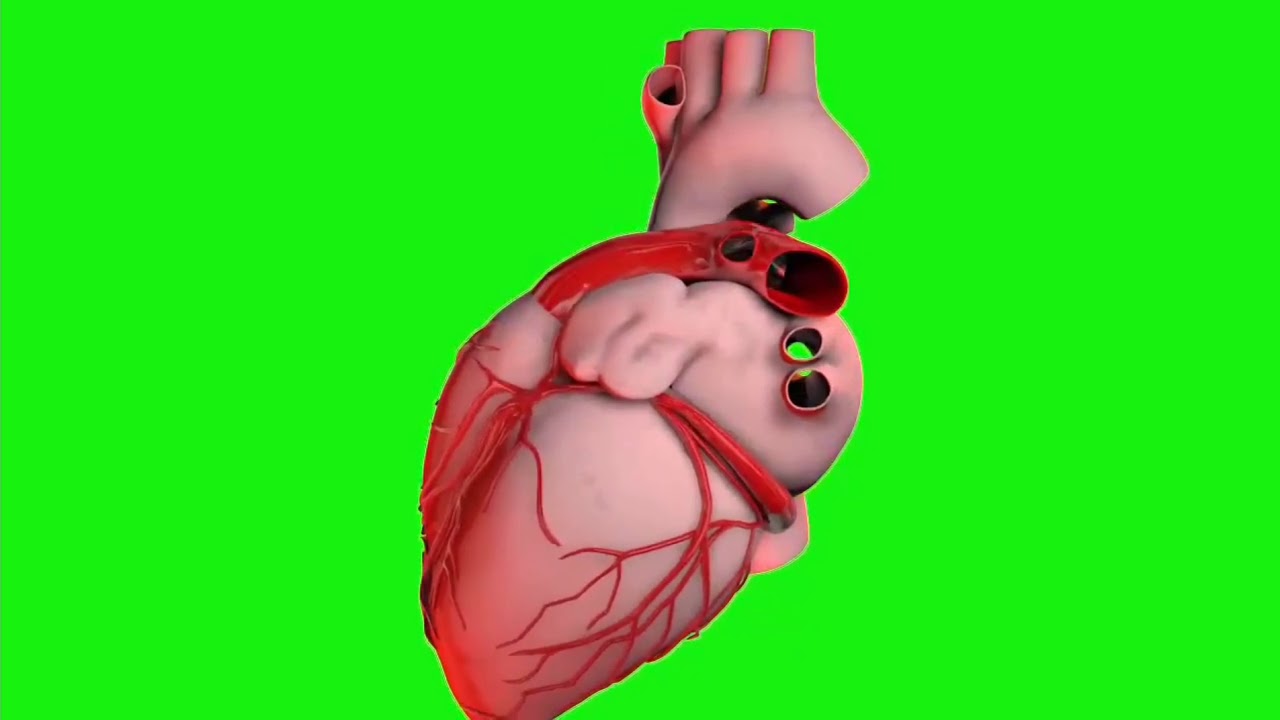 Heart HD Green Screen Heart Effects Full HD 1080p ( Copyright safe ...