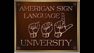 Intro to Interpreting Project 2