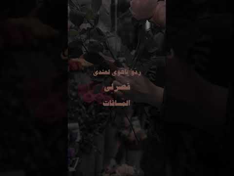 ردو يا هوى لعندي