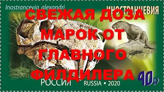 Распаковка марок России