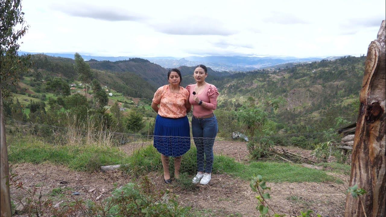 to the Alfredo Uno community, thanks for joining our monthly