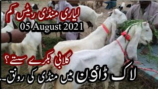 Bakra piri Liyari Cow mandi Latest 05 August 2021 Update | Mandi Liyari Karachi