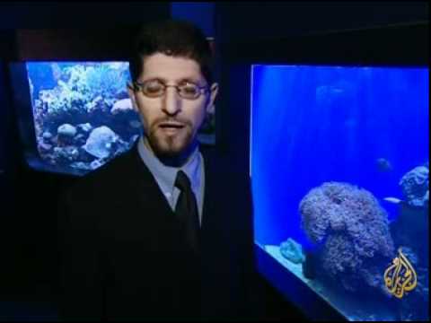 حملة دولية لحماية الش ع ب المرجانية في العالم