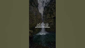 القارئ معاذ الدويك #قرآن #تلاوات #راحة_نفسية