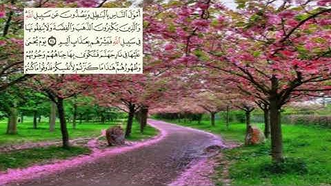 صفحة-192 page سعد الغامدي - -سورة التوبة -09--Le repentir (At-Tawbah) )