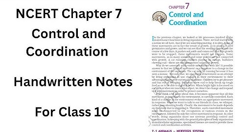 Control and Coordination | Chapter 7 | Handwritten Notes | Class 10 NCERT