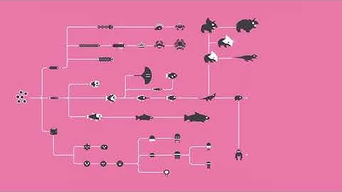 The History and Future of Everything    Time