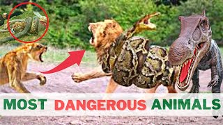 10 Most DANGEROUS Animals in the World! Kills 1000 People Everyday 🥴