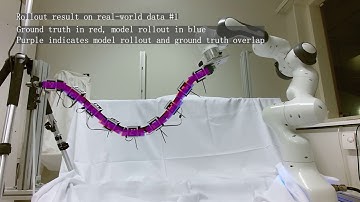 Learning to Propagate Interaction Effects for Modeling Deformable Linear Objects Dynamics