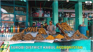 SUROBI DISTRICT | KABUL | AFGHANISTAN | 4k