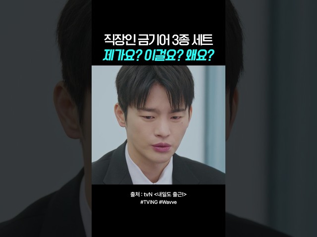 제가요❓이걸요❓왜요❓#내일도출근