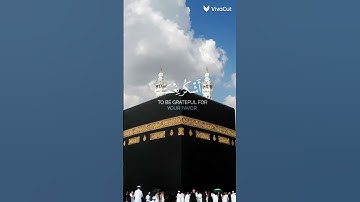 الشيخ ماهر المعيقلي ♥🤍(سورة النمل)