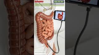 Sitting is Killing Your Gut Animation | Gut Health | Human Anatomy | Gut AI Art | 07