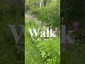 Walk in the Word #youtubeshorts #shorts #god #youtubeshorts #wisdom #life #love #flowers