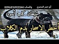 أقوي رقية لإبطال سحر الصرف والعطف والجلب والحروز والطلاسم الذي يخدم عليه الكلاب بالانتقام 
