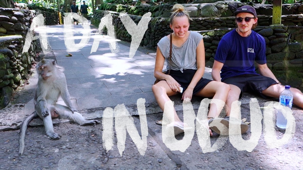 UBUD - monkey forest, rice terraces and restaurants | BALI | Ep 4 - YouTube