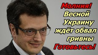 Экономика Украины ушла в пике! Обвал гривны неизбежен - Скаршевский