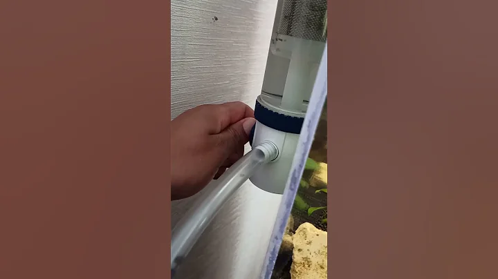 El SunSun YBF 500 nos facilita los cambios de agua | ¿Pensamos en el autorrellenador?✌🏽#eradeacuario