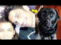 Bhanji Mallika Singh Shares Sushant Singh Rajput Dog Fudge CRYING Video!