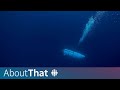 Titanic tourist submersible destroyed: How it happened | About That